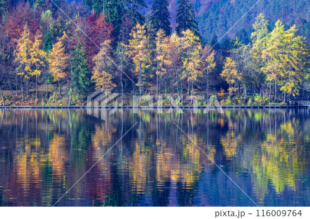 ブレッド湖 116009764