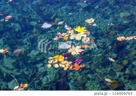 ブレッド湖 ブレッド湖 116009765