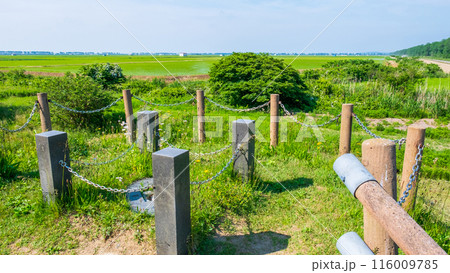 大潟富士:山頂 大潟富士:山頂 116009785