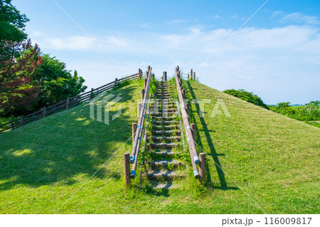 大潟富士 大潟富士 116009817