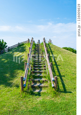 大潟富士 大潟富士 116009819