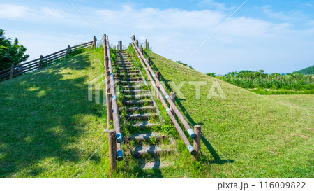 大潟富士 116009822