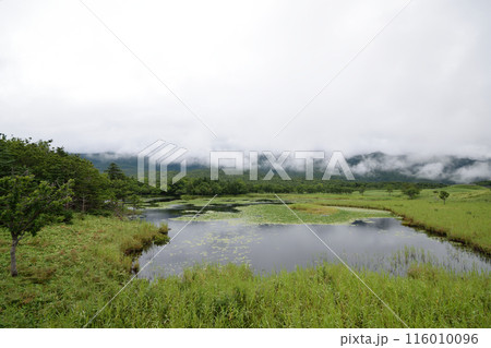 静寂な曇天の知床 116010096