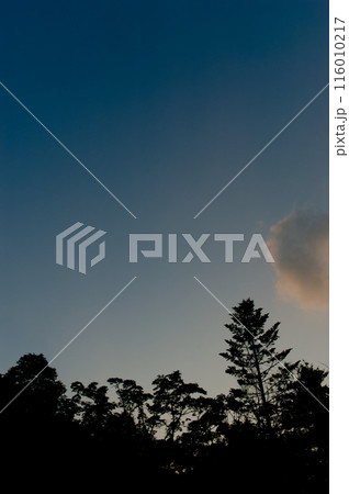 夕暮れ 116010217