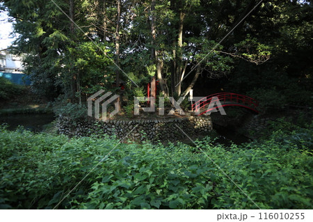 川越 喜多院 川越 喜多院 116010255