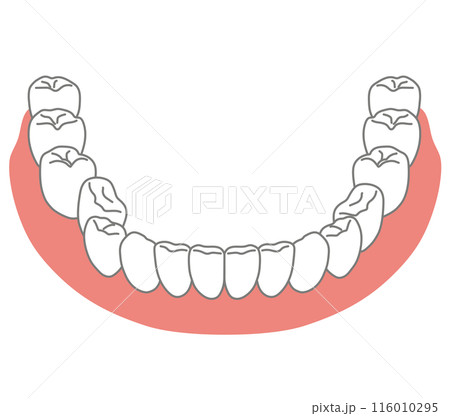 歯並びの悪い箇所がある下顎の歯列　歯磨き 116010295