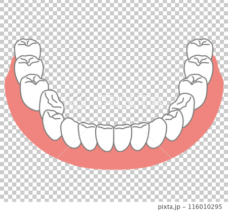 歯並びの悪い箇所がある下顎の歯列　歯磨き 116010295