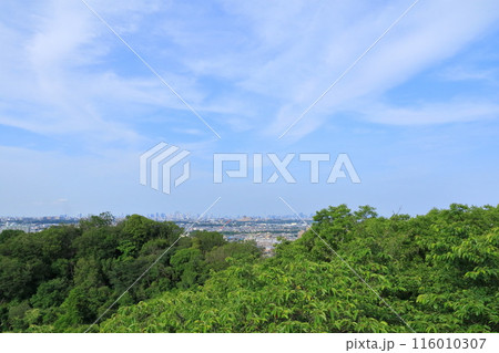 神奈川県・川崎市・枡形山展望台からの眺望 神奈川県・川崎市・枡形山展望台からの眺望 116010307