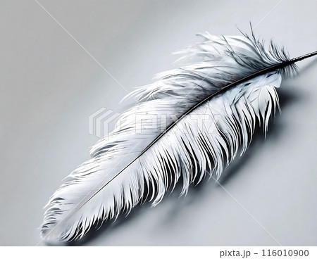 Single white feather lies on a gray background. The feather is delicate and soft, with a slight curve. It appears to be an ostrich feather, with long, flowing barbs.	 116010900