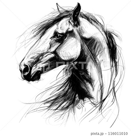 Colorful cow wearing a flower crown with "Moo-velous!" caption, perfect for cheerful and whimsical designs, farm themes, and unique illustrations. Animals. Colorful cow wearing a flower crown with "Moo-velous!" caption, perfect for cheerful and whimsical designs, farm themes, and unique illustrations. Animals. 116011010