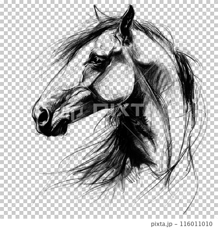 Colorful cow wearing a flower crown with "Moo-velous!" caption, perfect for cheerful and whimsical designs, farm themes, and unique illustrations. Animals. Colorful cow wearing a flower crown with "Moo-velous!" caption, perfect for cheerful and whimsical designs, farm themes, and unique illustrations. Animals. 116011010