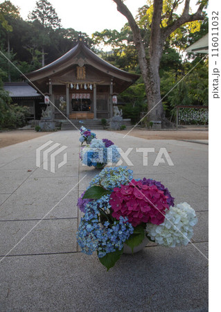 竈門神社の紫陽花飾り 116011032