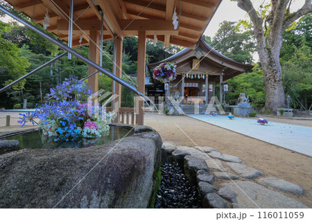 竈門神社の紫陽花飾り 116011059