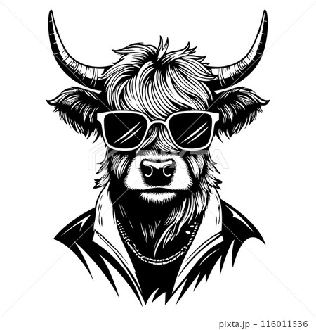 A cool and stylish black and white illustration of a highland cow wearing sunglasses and a chain. Perfect for t-shirt designs, logos, and branding. 116011536