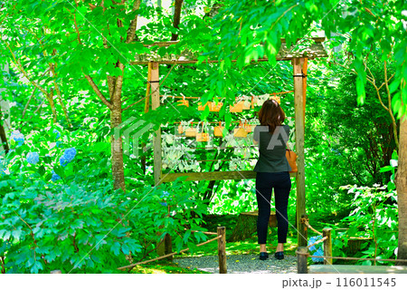 絵馬を結ぶ女性 116011545