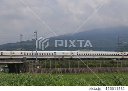 新幹線と田んぼ 116011581
