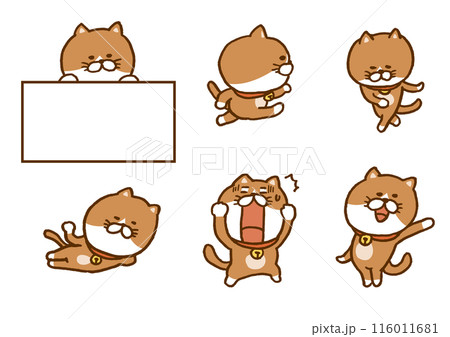 変なポーズをするかわいい茶猫のキャライラスト 116011681