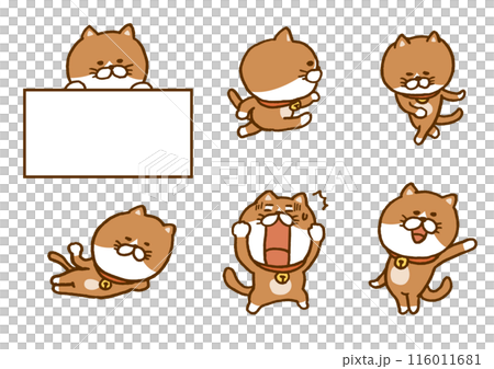 一隻可愛的棕色貓做奇怪姿勢的人物插圖 116011681