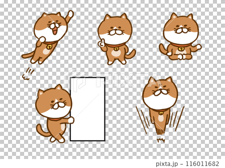 一隻可愛的棕色貓做奇怪姿勢的人物插圖 116011682