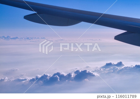 飛行機から見た雲海 116011789