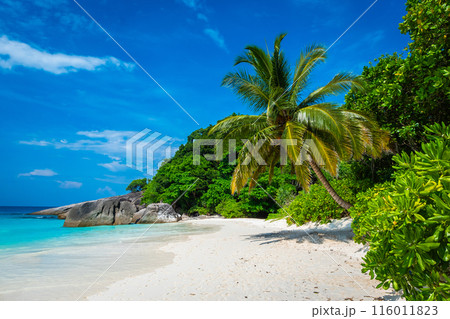 Beautiful view with blue sky and clouds, blue sea and white sand beach on Similan island, No.8 at Similan national park, Phuket, Thailand is most popular vacation for tourist. 116011823