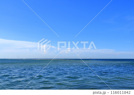 千葉県・富津市・富津岬から望む東京湾 116011842