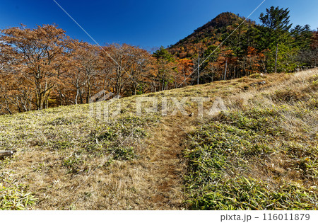 紅葉の奥秩父・雁峠から見る笠取山 紅葉の奥秩父・雁峠から見る笠取山 116011879