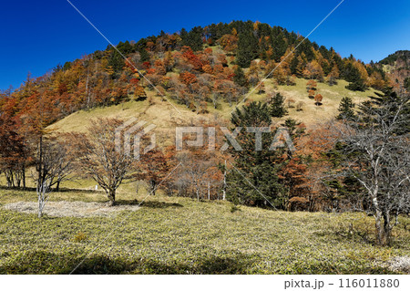 紅葉の奥秩父・雁峠から見る燕山 紅葉の奥秩父・雁峠から見る燕山 116011880