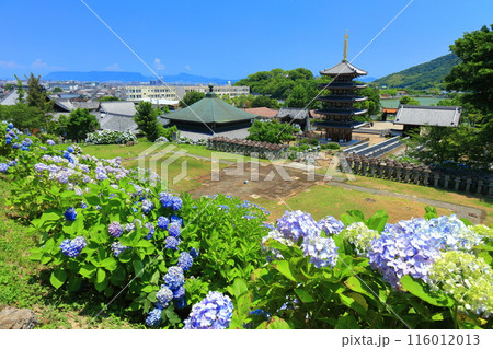 【香川県】紫陽花が満開の法然寺の五重塔と三仏堂（仏生山） 116012013