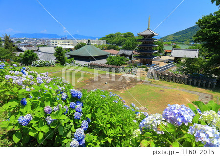【香川県】紫陽花が満開の法然寺の五重塔と三仏堂(仏生山) 【香川県】紫陽花が満開の法然寺の五重塔と三仏堂(仏生山) 116012015