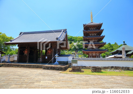 【香川県】快晴の法然寺の五重塔と仁王門（仏生山） 116012033