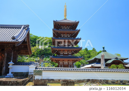 【香川県】快晴の法然寺の五重塔（仏生山） 116012034