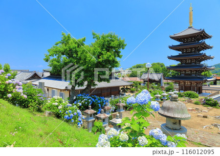 【香川県】紫陽花が満開の法然寺の五重塔と三仏堂(仏生山) 【香川県】紫陽花が満開の法然寺の五重塔と三仏堂(仏生山) 116012095