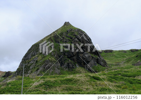 【礼文島】桃台猫台展望台 【礼文島】桃台猫台展望台 116012256