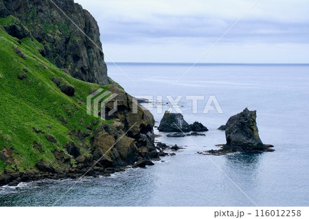 【礼文島】桃台猫台展望台 116012258