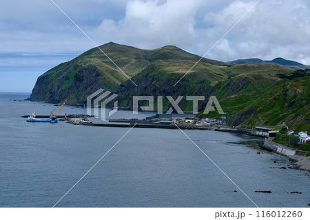 【礼文島】桃台猫台展望台 116012260