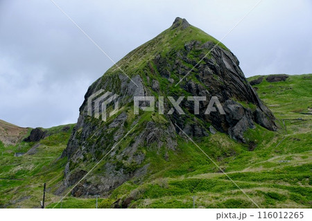 【礼文島】桃台猫台展望台 116012265