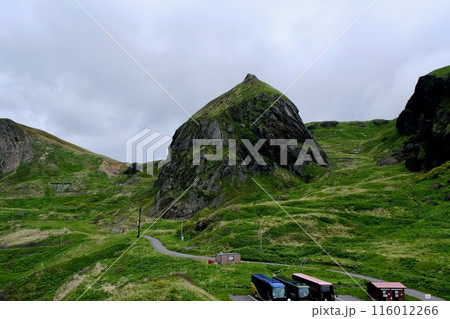 【礼文島】桃台猫台展望台 116012266