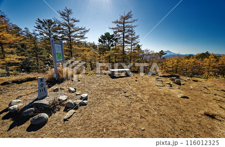 笠取山付近・分水嶺から見るカラマツの黄葉と富士山 116012325