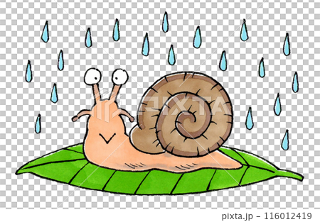 蝸牛和雨 蝸牛和雨 116012419