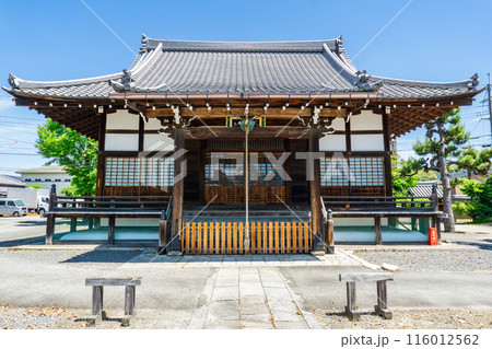 京都市左京区大菊町　本山　 頂妙寺（ちょうみょうじ）　祖師堂 116012562