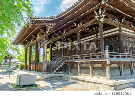 京都市左京区大菊町　本山　 頂妙寺（ちょうみょうじ）　本堂 116012566