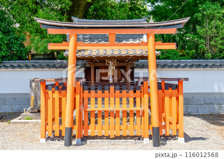京都市左京区大菊町 本山 頂妙寺(ちょうみょうじ) 威徳善神堂 京都市左京区大菊町 本山 頂妙寺(ちょうみょうじ) 威徳善神堂 116012568