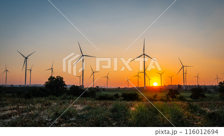 Landscape of Wind turbine farm in beautiful nature with sunset blackground, generating electricity in Nakorn Ratchasima Thailand 116012694