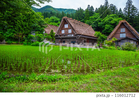 Traditional and Historical Japanese village Shirakawago in Gifu Prefecture Japan, Gokayama has been inscribed on the UNESCO World Heritage List due to its traditional Gassho-zukuri houses 116012712