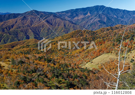 奥秩父・笠取山から見る紅葉の雁峠と黒金山・国師ヶ岳 奥秩父・笠取山から見る紅葉の雁峠と黒金山・国師ヶ岳 116012808