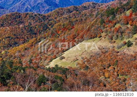 奥秩父・笠取山から見る紅葉の雁峠 奥秩父・笠取山から見る紅葉の雁峠 116012810