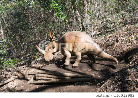 小室山公園（恐竜広場） 116012982