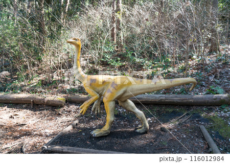 小室山公園（恐竜広場） 116012984