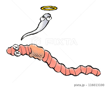 死んだミミズ 116013100